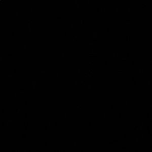 Meet your Posher, Dani